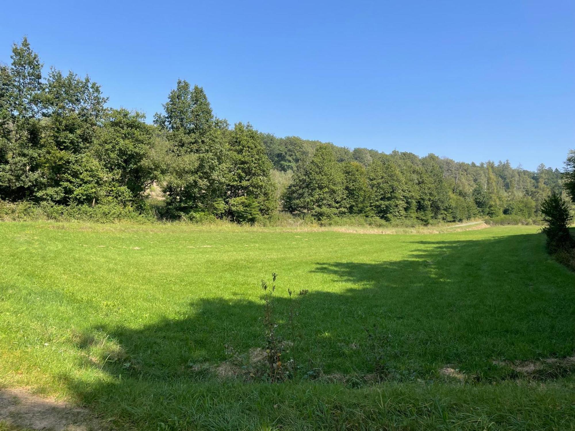 Gaestehaus Koehler Waldsolms ภายนอก รูปภาพ