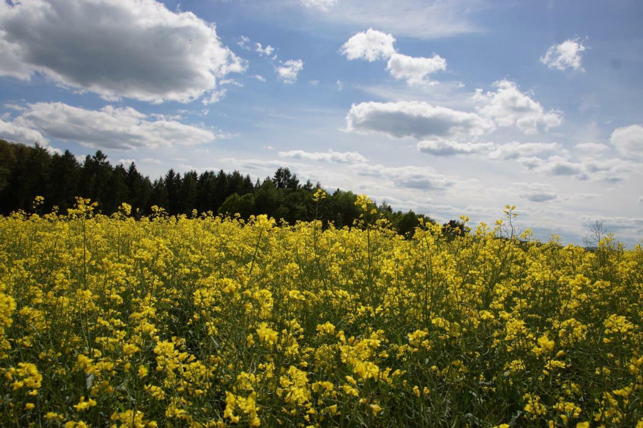 Gaestehaus Koehler Waldsolms ภายนอก รูปภาพ